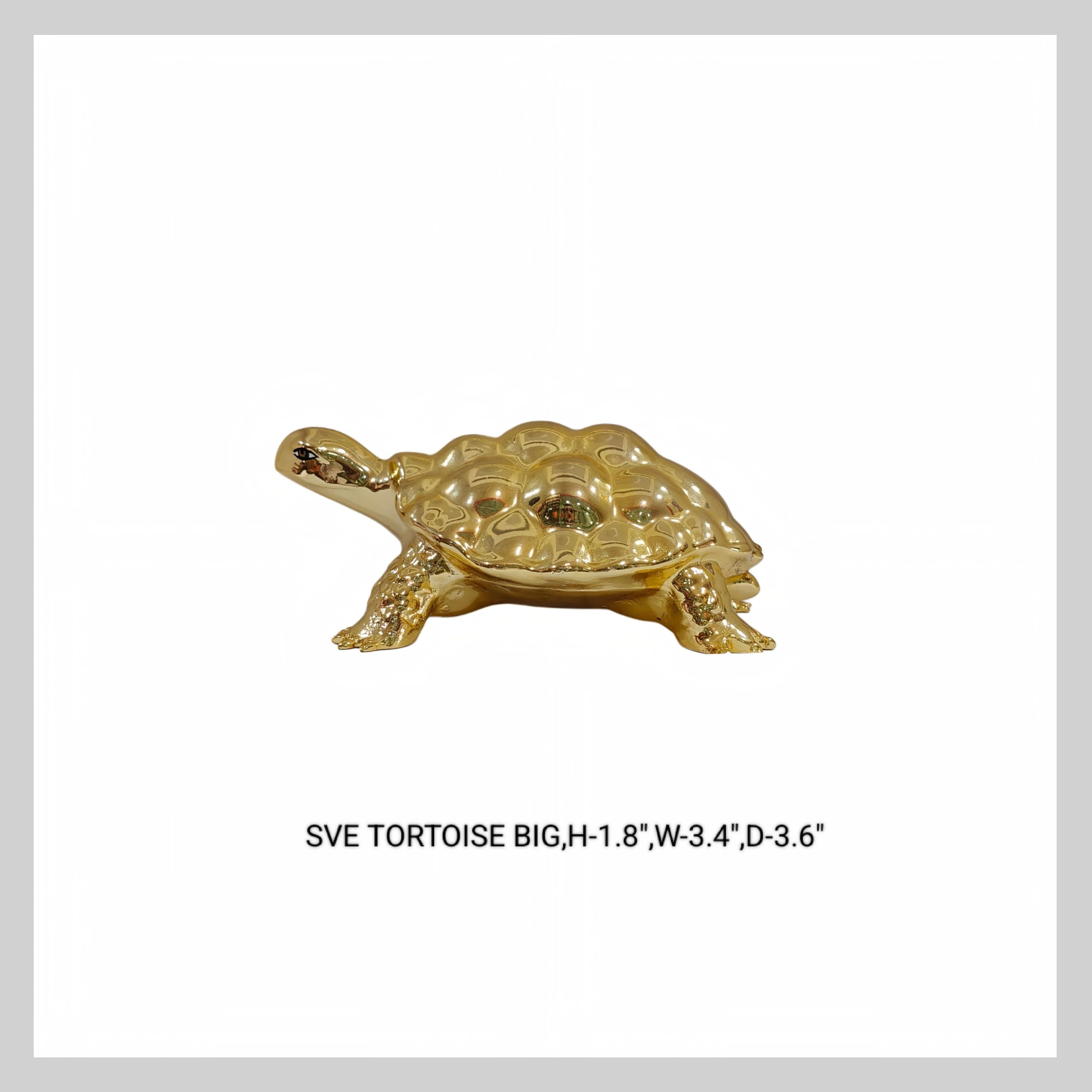 Tortoise Gold Big