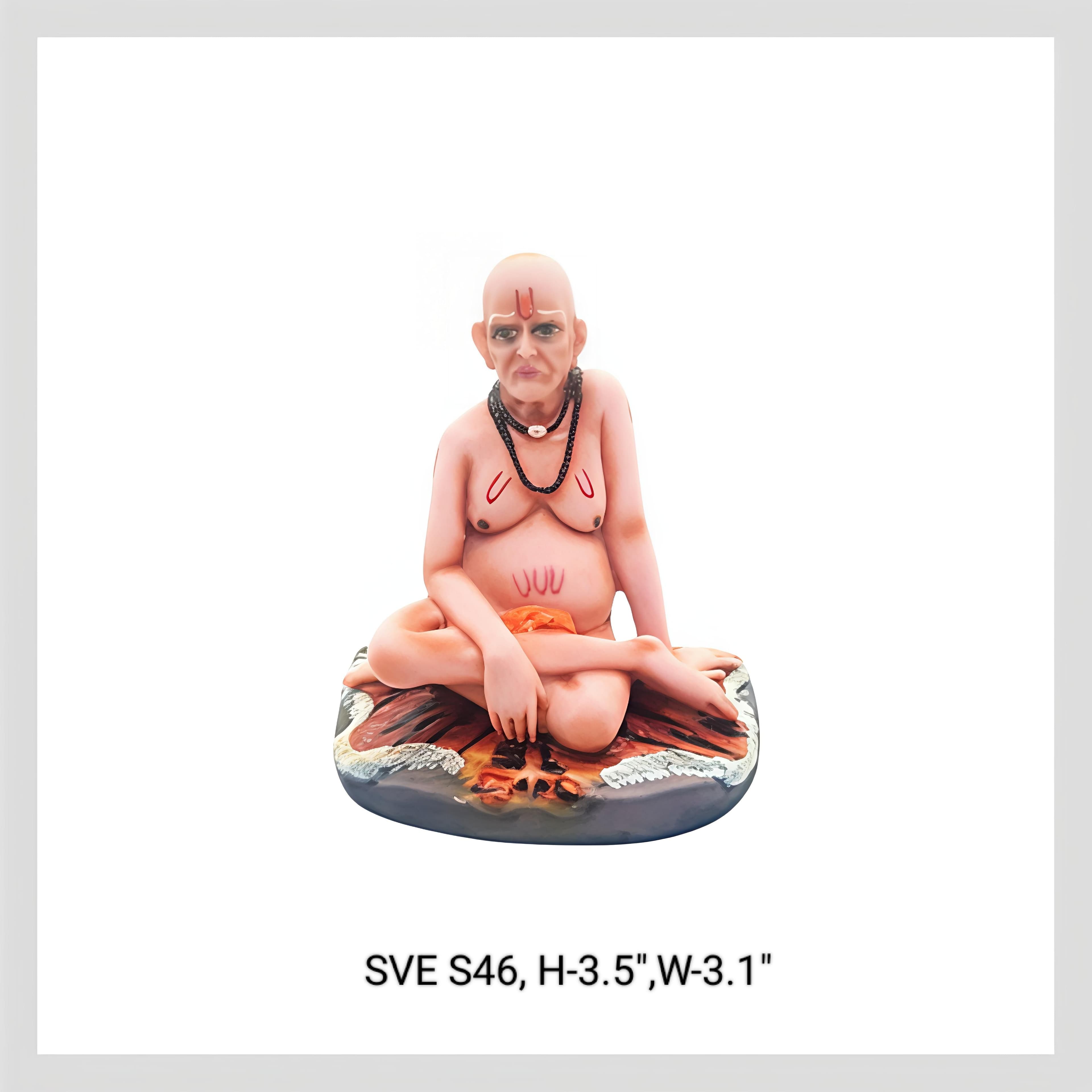 S46 Swami Ngr